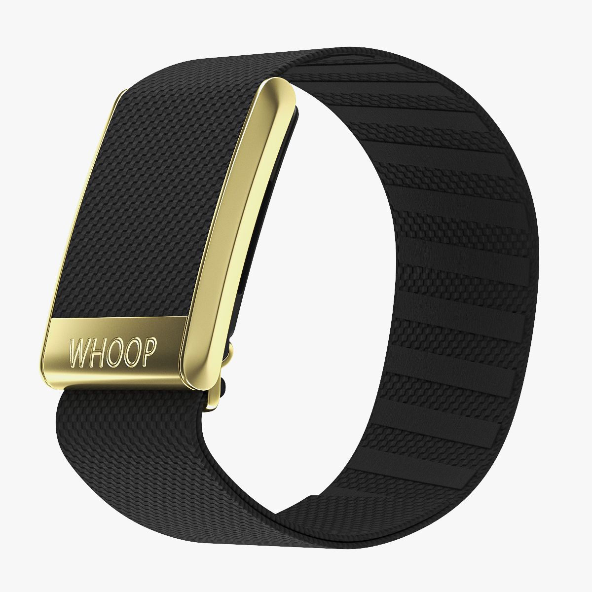 Whoop 4 Health Tracker Svart 3d model